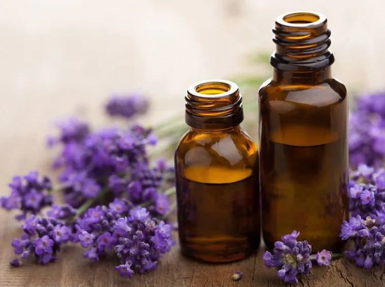 Olio essenziale di lavanda dalle proprietà terapeutiche