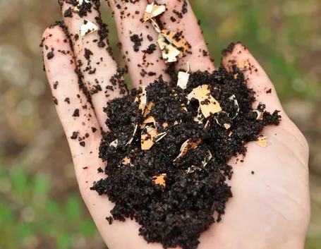compost