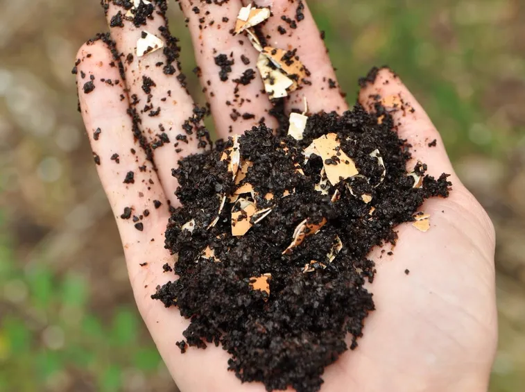 compost