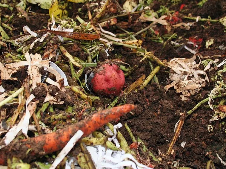 rifiuti adatti compost