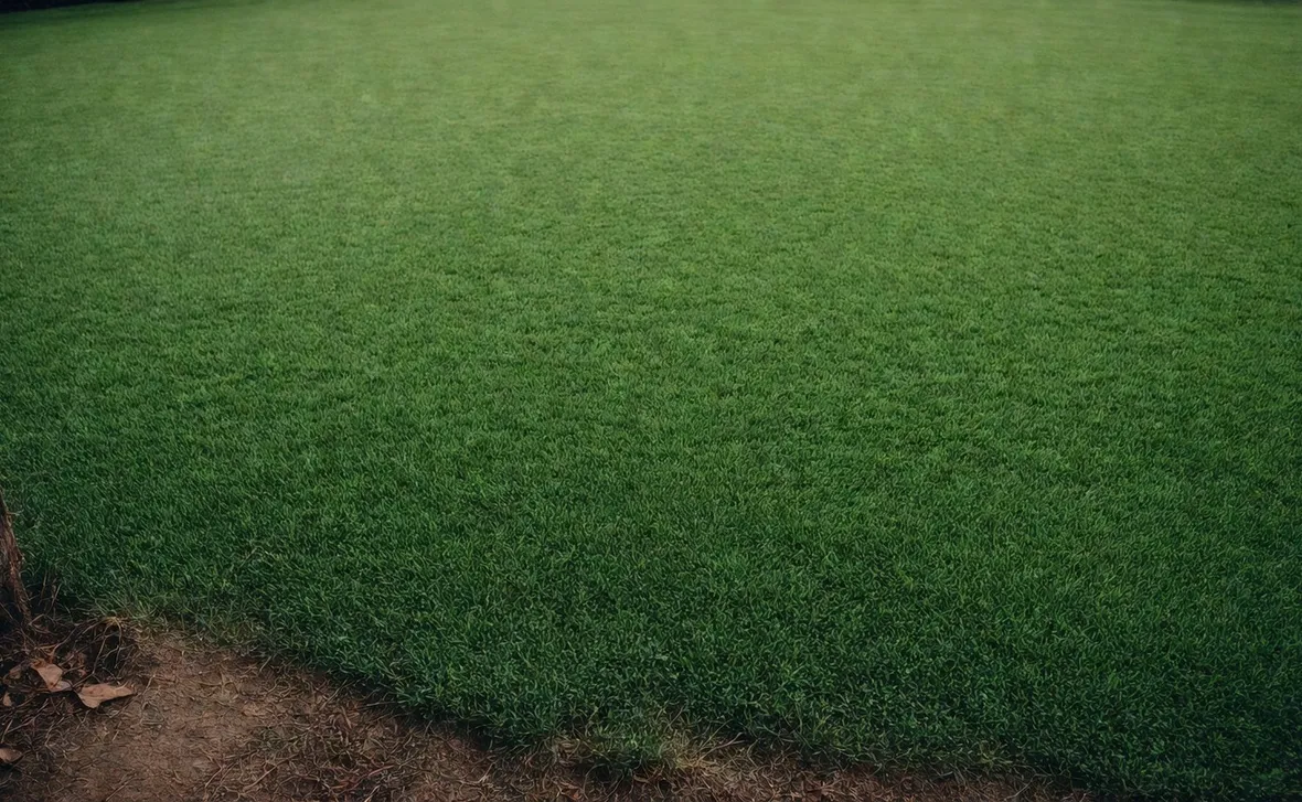 manto verde