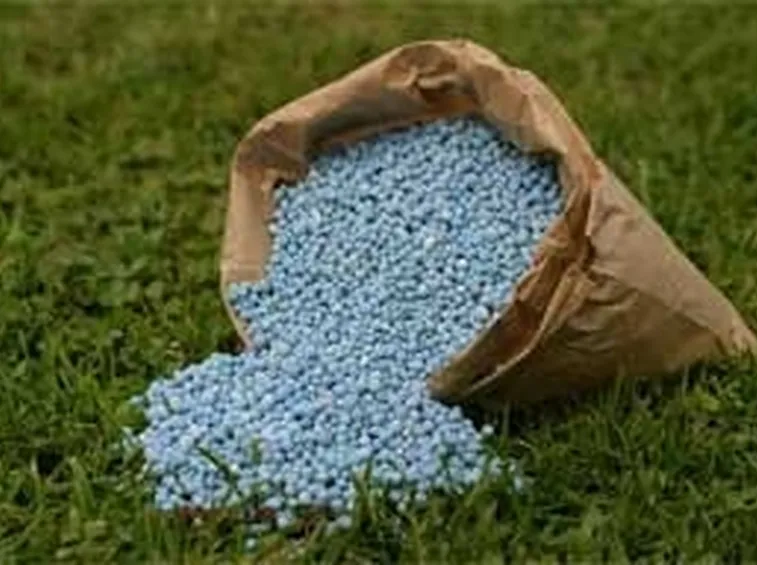 fertilizzante 