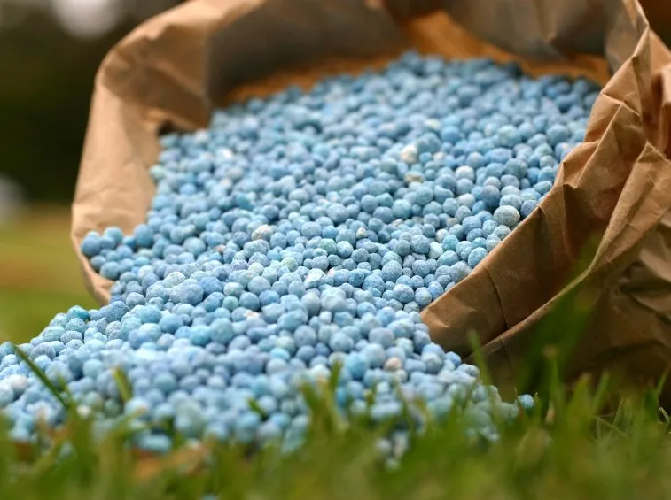 Un fertilizzante sintetico