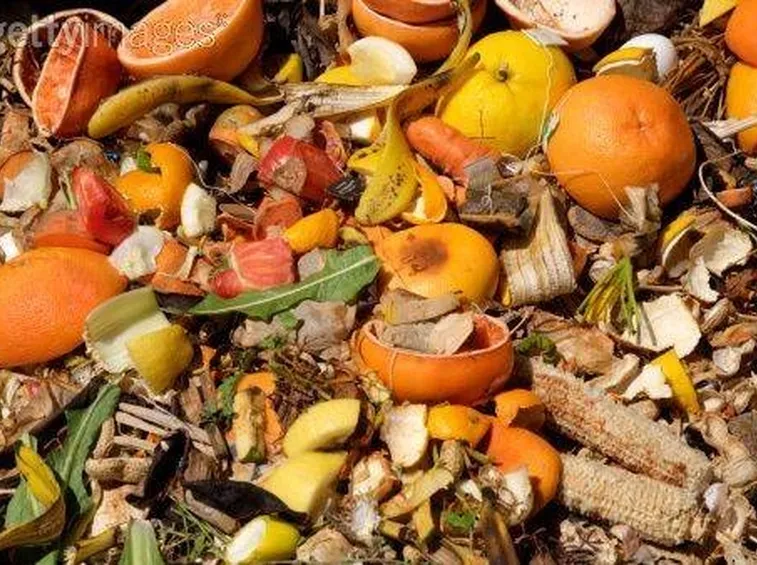 Materia organica per il compost