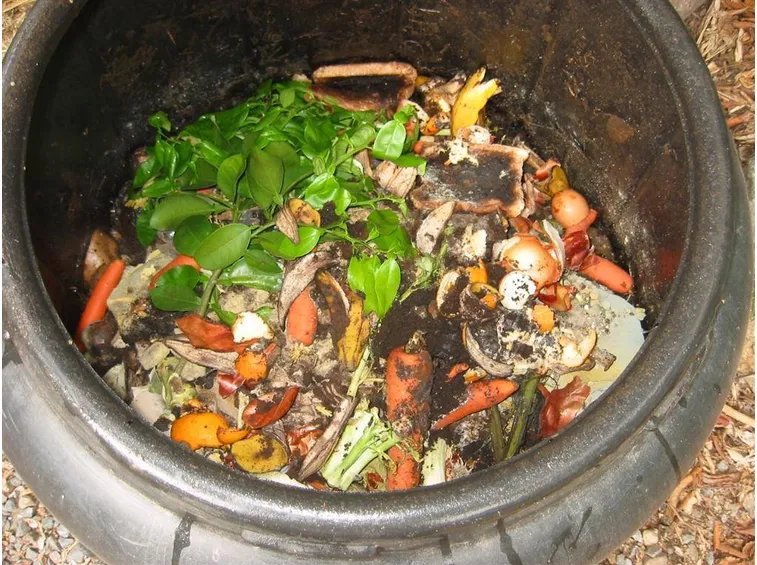 Esempio di contenitore per compostaggio