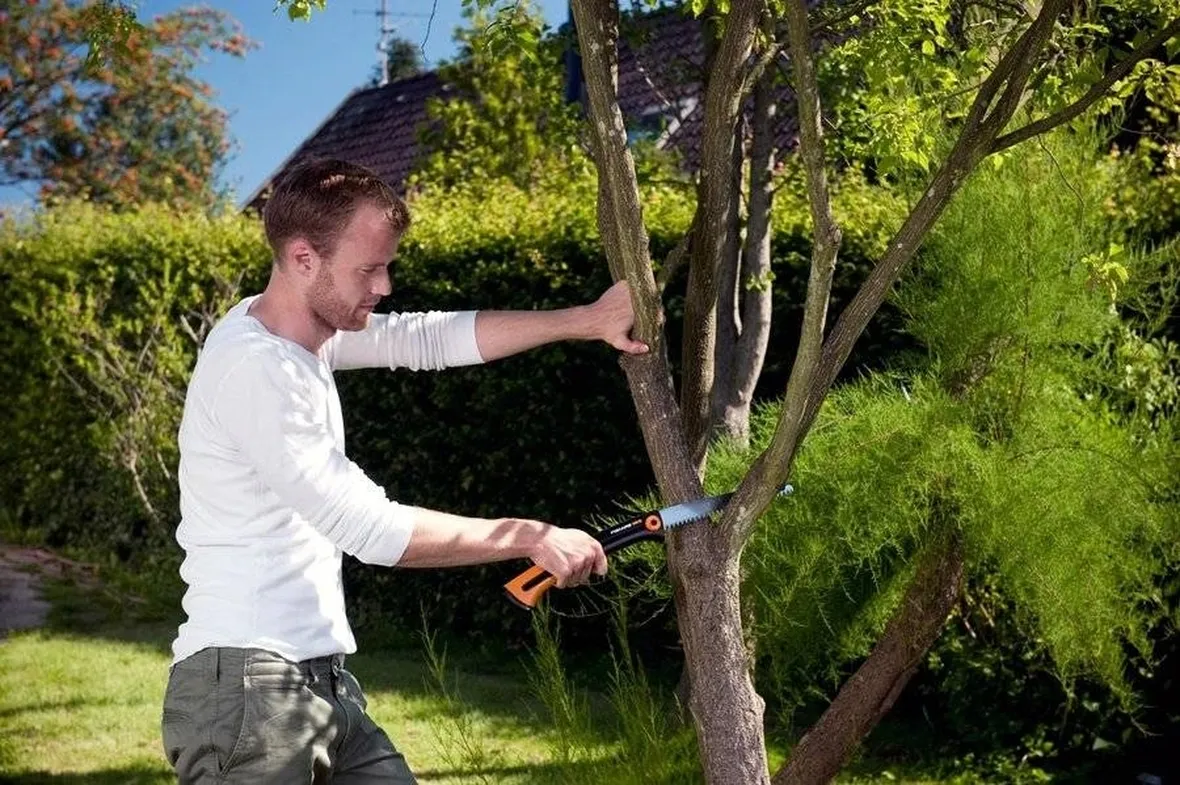 È bene potare gli alberi