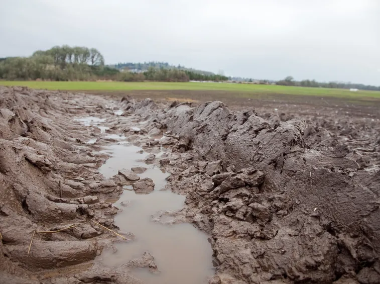 Ristagno idrico su terreno argilloso