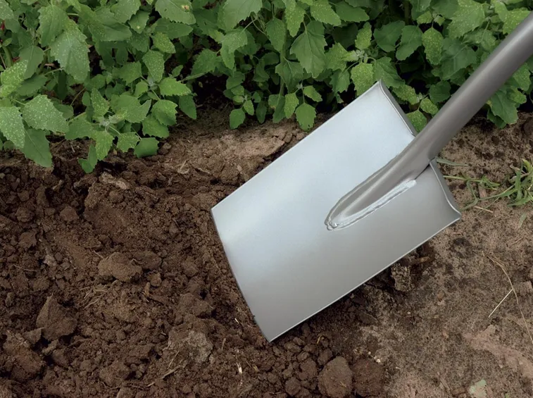 Vangatura su terreno in giardino