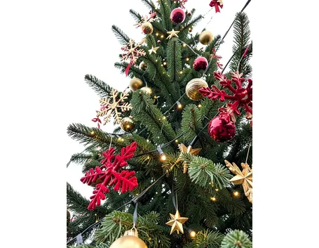 Comprare in autunno: come riconoscere le vere luci di Natale da esterno