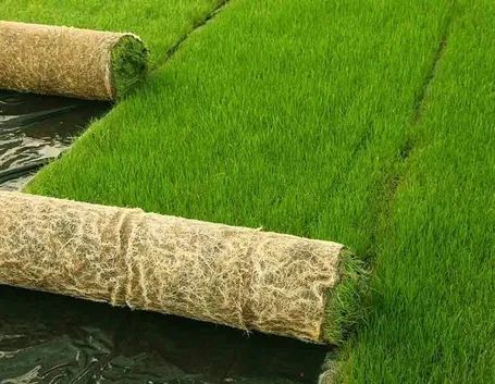 Un giardino curato come angolo di autentico relax