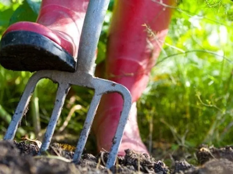 La preparazione del terreno prima della stesura dei rotoli di prato