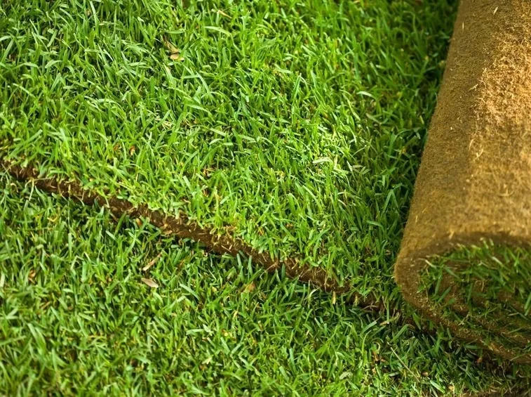 Rotoli d'erba pronti ad essere srotolati