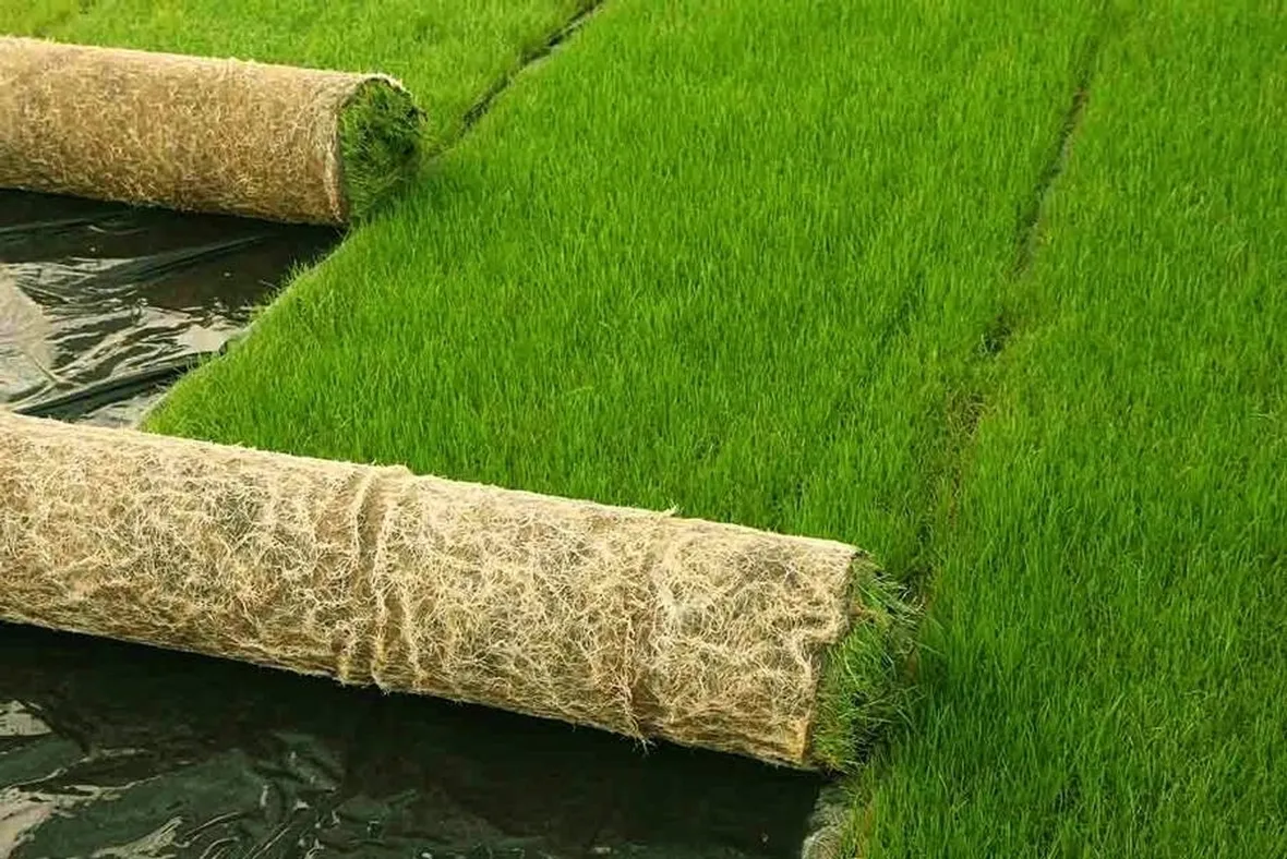 Un giardino curato come angolo di autentico relax