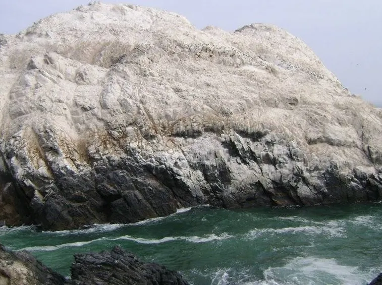 Deposito di guano