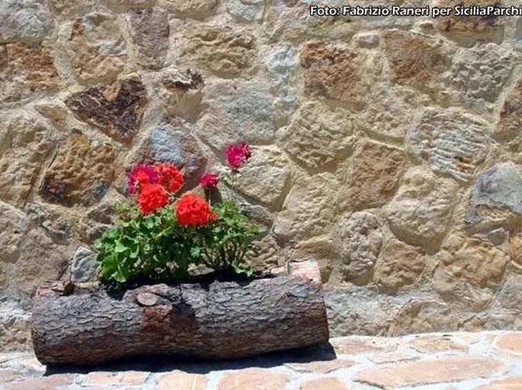 Coltivazione del geranio. Fonte: www.siciliaparchi.com.