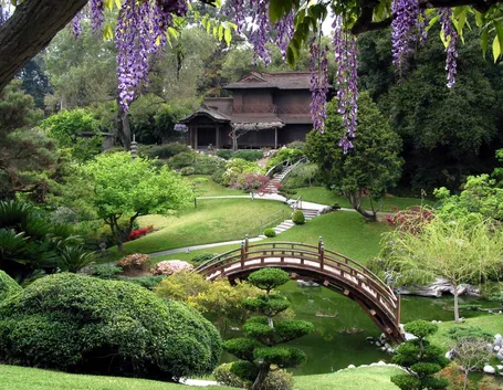 giardino giappo