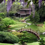 giardino giappo