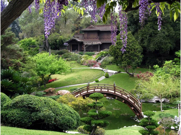 giardino giappo