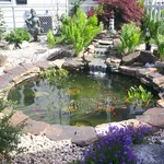Bellissimo giardino acquatico casalingo