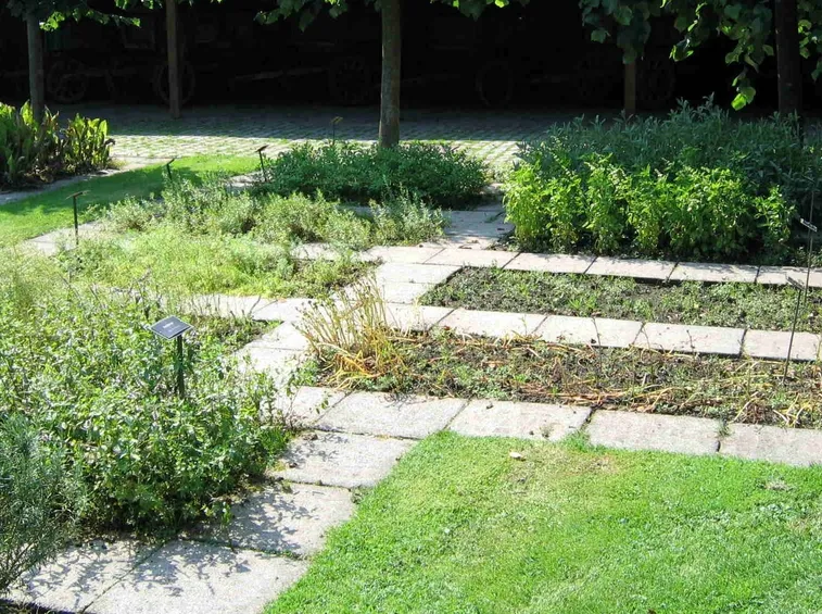 Un giardino coltivato