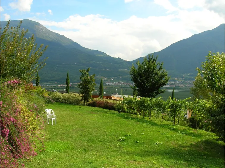 Pregi e difetti