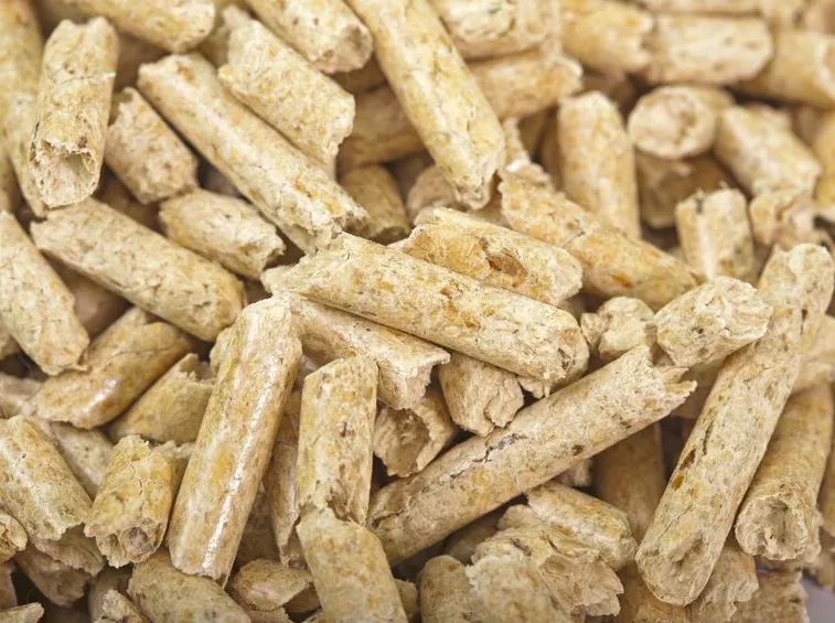 pellet
