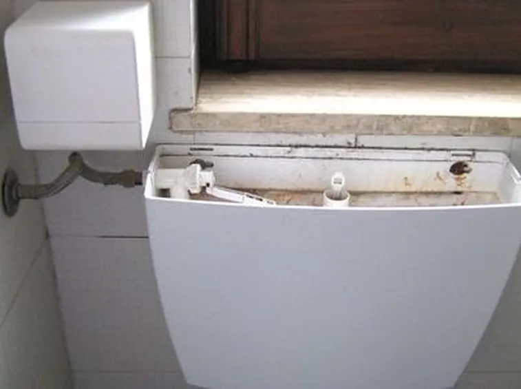 Pregi e difetti