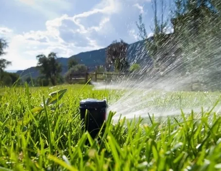 Uno sprinkler in funzione