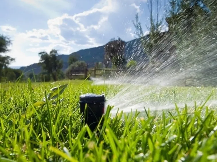 Uno sprinkler in funzione