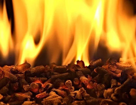 pellet 