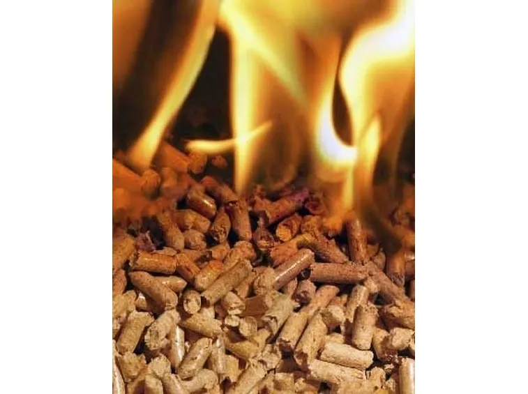 fuoco 