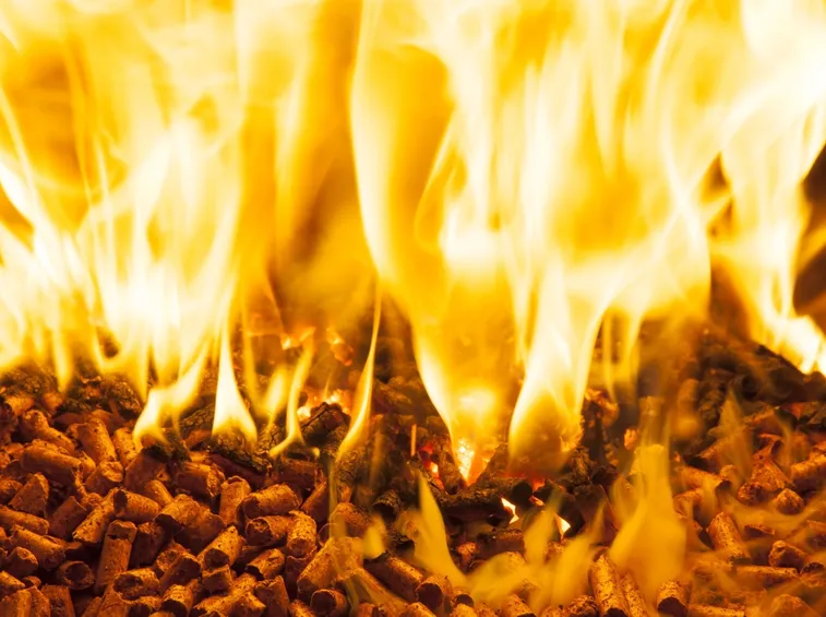 pellet fuoco