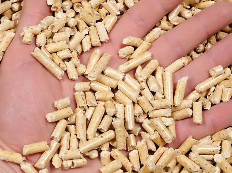 pellet