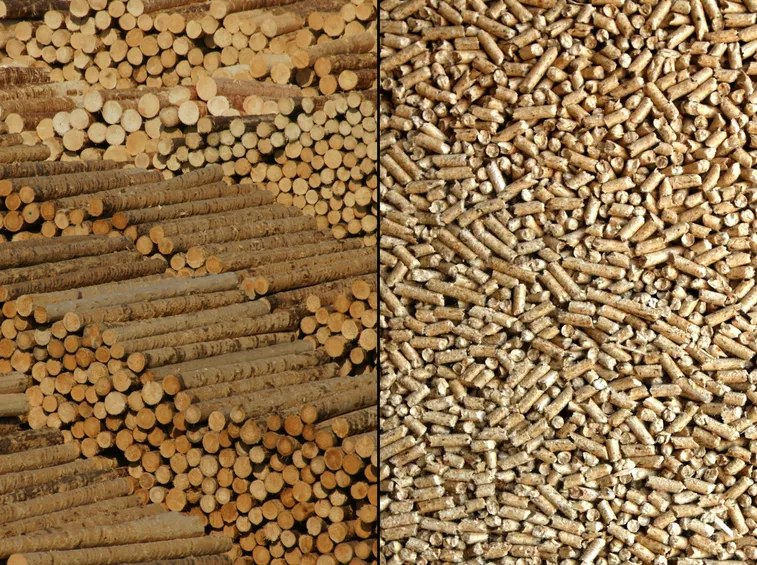 Il pellet derivante da solo legna vergine per le nostre stufe