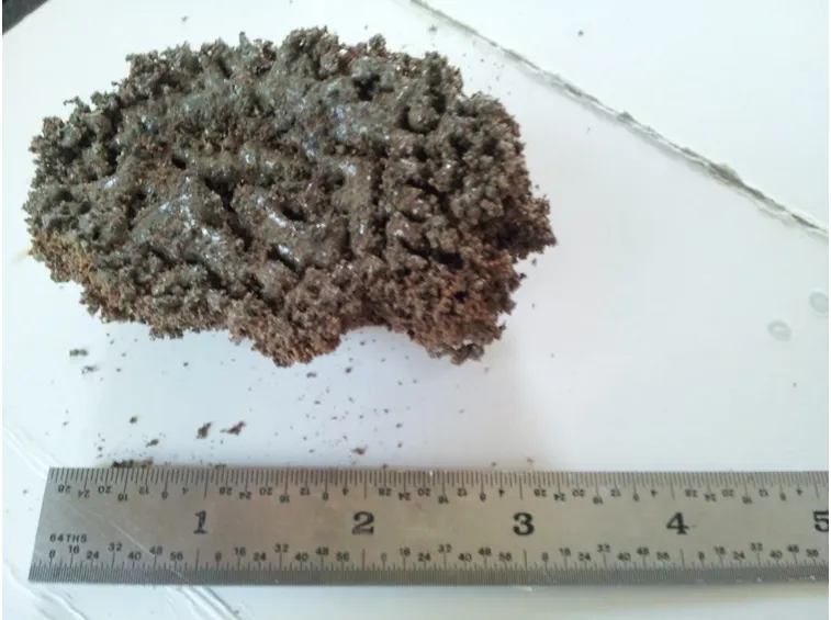 Crosta residua della combustione del pellet