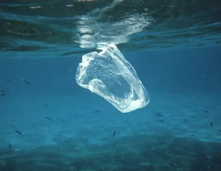 Sacchetti di plastica che inquinano le spiagge