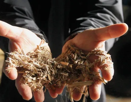 Il cippato è una scelta ecologica per il riscaldamento