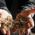 Il cippato è una scelta ecologica per il riscaldamento