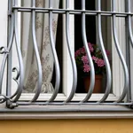 Inferriata in stile antico a tema
