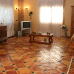 piastrelle in ceramica sul pavimento