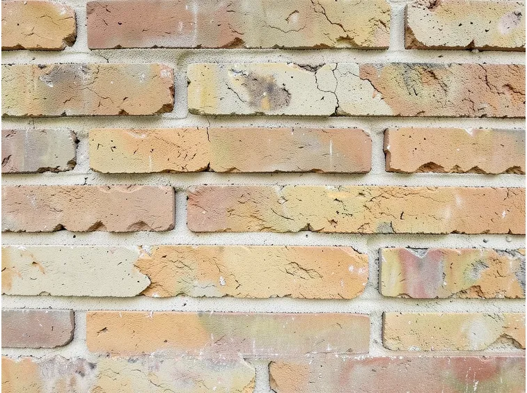 Pro e contro