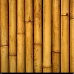 Il bamboo: un legno acquatico che si presta a molti usi