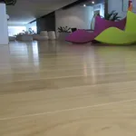 pavimento