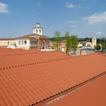 Tettoia rivestita con finte tegole