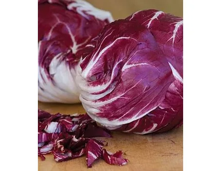 radicchio 