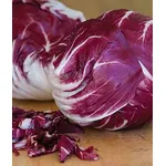 radicchio 