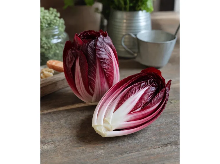 radicchio