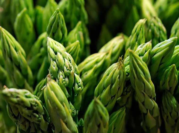 Particolare delle punte di asparagi