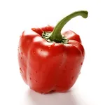piantina di peperoni