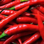peperoncino